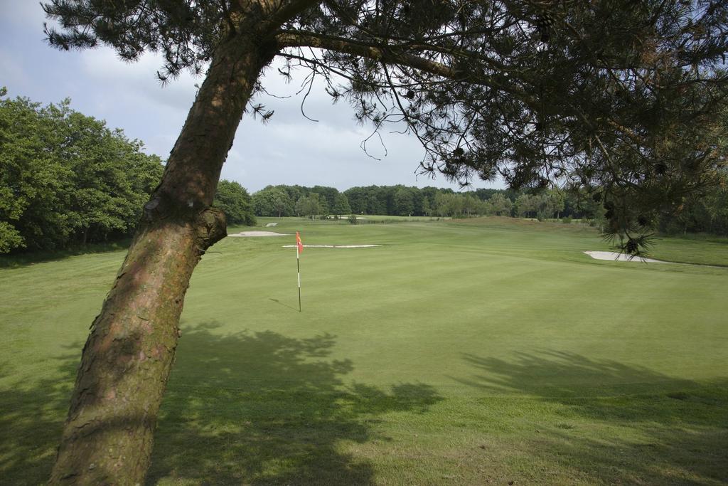Landhotel De Ijsvogel Sint Nicolaasga Bagian luar foto