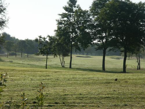 Landhotel De Ijsvogel Sint Nicolaasga Bagian luar foto